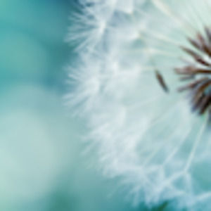 Meet your Posher, Noelle